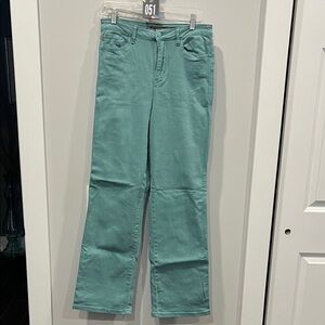 Judy Blue Women's Teal Flare Jeans